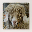 Suche nach lustige ziege puzzle Tiere