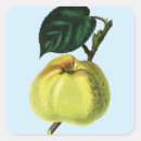 Suche nach grüner apfel aufkleber Jede person