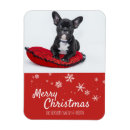 Suche nach french bulldog magnete Hund