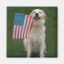 Suche nach goldenes labrador magnete Niedlich