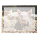 Suche nach das schwein notizblock Nutztier