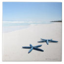 Suche nach starfish fliesen Meer