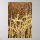 Suche nach gerste poster Landschaft