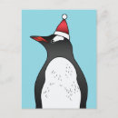 Suche nach gentoo pinguin postkarten Vogelvogel