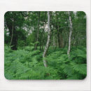 Suche nach birken mousepads Wald