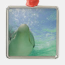 Suche nach tümmler ornamente Delfin
