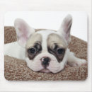 Suche nach welpe der französischen bulldogge mousepads Haustiere