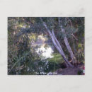 Suche nach jordaens postkarten Israel