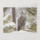 Suche nach menschlich postkarten Lebensstil