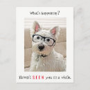 Suche nach hund Jede person