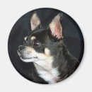 Suche nach purebreed Zucht