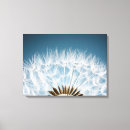 Suche nach unkraut leinwandbilder Wildblume