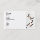 Suche nach ameise visitenkarten Tier