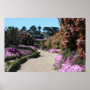 Suche nach monterey poster Natur
