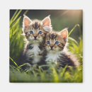 Suche nach knuddelig magnete Katze