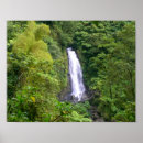 Suche nach westindien poster Natur