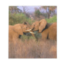 Suche nach afrika notizblock Tier