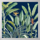 Suche nach strelitzia poster Für alle