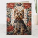 Suche nach yorki karten Für sie