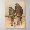Suche nach kite poster Vintag