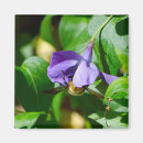 Suche nach grüne biene magnete Rett der bienen