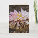 Suche nach dahlia karten Rosa