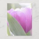 Suche nach glätten postkarten Rosa