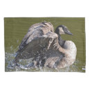 Suche nach kanadische gans Wandernd