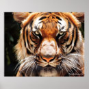 Suche nach cat eyes poster Animal