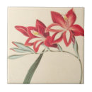 Suche nach botanische illustration fliesen Rot