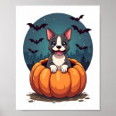 Suche nach pitbulls poster Mops