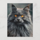 Suche nach tierillustrationen postkarten Für katzenliebhaber