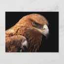 Suche nach abgeschieden postkarten Vogelvogel