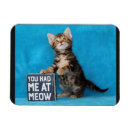 Suche nach bengalische katze magnete Katzenliebhaber