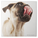 Suche nach gesichter fliesen Natur