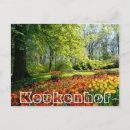 Suche nach keukenhof gärten postkarten Tulpen