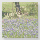 Suche nach bluebonnet untersetzer Für alle
