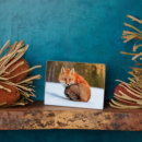 Suche nach ein fuchs fotoplatten Wildtiere