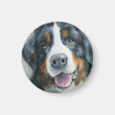 Suche nach berner sennenhund magnete Für alle