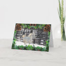 Suche nach weiße pferde karten Winter