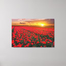 Suche nach holland leinwandbilder Blume