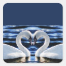 Suche nach herz der schwäne aufkleber Vogelvogel