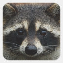 Suche nach nahes hohes aufkleber Wild lebende tiere