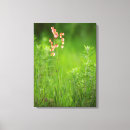 Suche nach lager leinwandbilder Blume