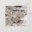 Suche nach gott ist gut postkarten Bibel