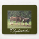 Suche nach kauai mousepads Natur