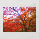 Suche nach rot blätter postkarten Herbst