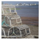 Suche nach prinz fliesen Küste