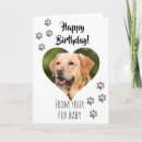 Suche nach alles gute zum geburtstag katze Hund