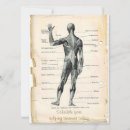 Suche nach vintage anatomie postkarten Anatomisch